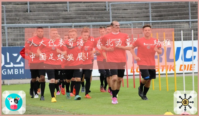 人大代表寄语“东北力量”，助推中国足球发展！